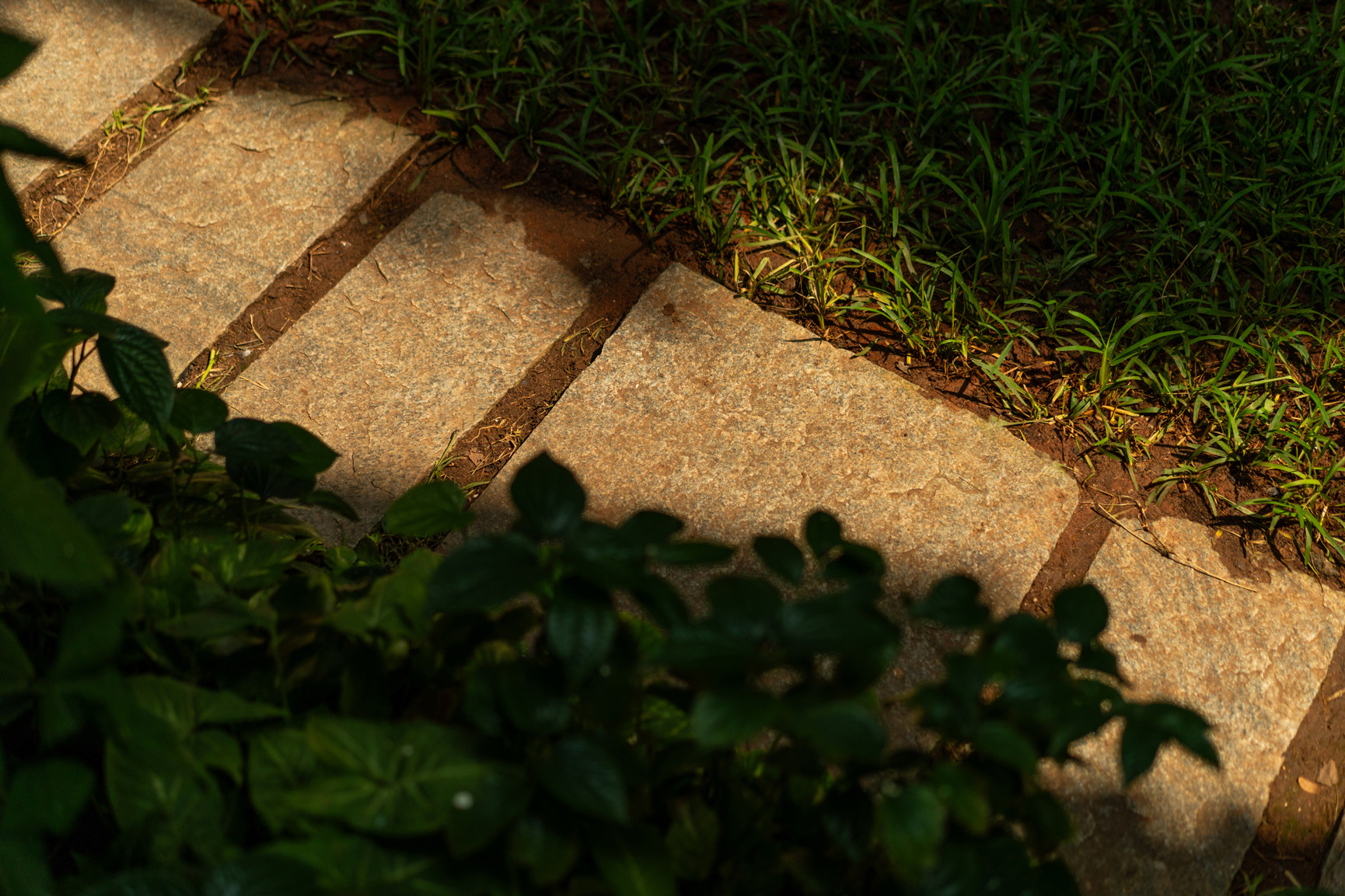 A still from the Pāri Washington office lawn path